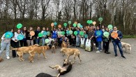 Watsons Türkiye HAYTAP İş Birliği ile 4 Nisan Sokak Hayvanları Günü’nde Ormanlardaki Dostlarımızı 1 Ton Mamayla Besledi!