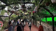 Ankara’nın en serin adresi Atatürk Botanik Bahçesi