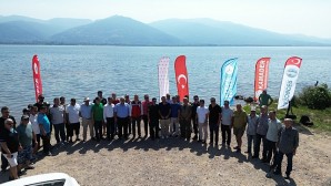 Eşme’de Sapanca gölüne 100 bin sazan salındı 