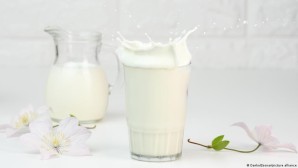 TÜİK: İçme sütü ve yoğurt üretimi azaldı