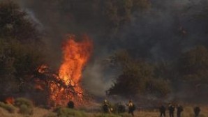 ABD’de dev orman yangını: 30 bine yakın tahliye