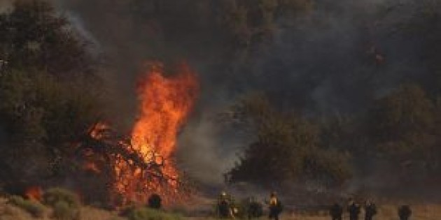 ABD’de dev orman yangını: 30 bine yakın tahliye