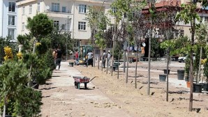 2000 Evler Mahallesi’ne Yeni Yapılan Parka Ağaçlar Dikildi