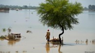 Pakistan’da sel felaketi: Can kaybı bini aştı