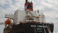 Ukrayna’dan Afrika’ya tahıl götüren ilk gemi yola çıktı