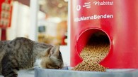 Vodafone Her Şey Yanımda’dan Pet Shop Alışverişi Sokak Hayvanları İçin Mamaya Dönüşüyor