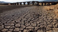 İspanya’da kuraklık ekosistemi yok ediyor