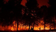 AB’den orman yangınlarına karşı 170 milyon euro yatırım