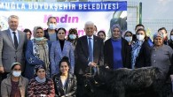 Muğla Büyükşehir Belediyesi Yatağan’da Kıl Keçisi Dağıtıyor