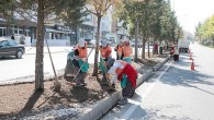 Nevşehir Belediye Ekiplerinden Refüj ve Kavşaklarda Bitkilendirme ve Bakım Çalışması