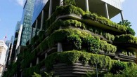 Schneider Electric Küresel Araştırma Bulgularına Göre, 10 Tüketiciden 9’u İklim Değişikliği ile Artan Enerji Faturaları Arasında Doğrudan Bağlantı Kuruyor