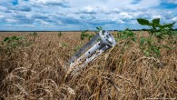 Ukrayna’nın tahıl ihracatı yüzde 30 azaldı