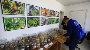 Muğla Büyükşehir Belediyesi Yerel Tohum Merkezi 2023 yılı için tohum dağıtımına başladı