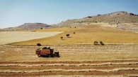 Deprem Türkiye’nin tarım üretiminin 5’te 1’ine zarar verdi