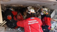 UNESCO, Kadıköy Belediyesi’nin Deprem Bölgelerindeki Çalışmalarını Dünyaya Örnek Gösterdi