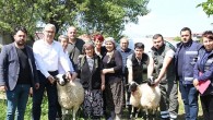 Başkan Çerçioğlu’ndan Koyunları Telef Olan Üretici Kadına Destek