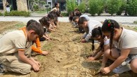 Efes Selçuklu Çocuklar Fideleri Toprakla Buluşturuyor
