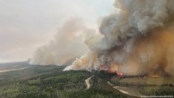 Kanada’da orman yangınları nedeniyle olağanüstü hal