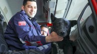 Nevşehir Belediyesi İtfaiye Müdürlüğü personelleri, bir vadide düştüğü kayalıklarda mahsur kalan ve 6 saatlik bir çalışma sonucu kurtardıkları sokak köpeğini sahiplendi