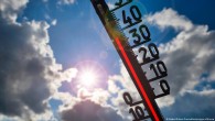 Almanya’da aşırı sıcaklara karşı ulusal plan hazırlığı