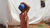 Dünya Çocuk İşçiliği ile Mücadele Günü’nde Deprem Bölgesinden Tespitler