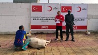 Türk Kızılay Kurban Kesimlerini Başlattı