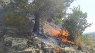 Aydın Büyükşehir Belediyesi İtfaiyesi, Söke’de ormanlık alanda çıkan yangını hızlı müdahaleyle büyümeden söndürdü