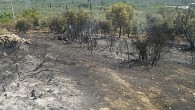 Aydın Büyükşehir Belediyesi İtfaiyesi yangına hızla müdahale etti