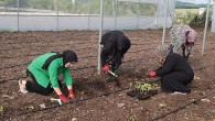 Kocaeli Büyükşehir’den kadın girişimcilere tarımsal destek