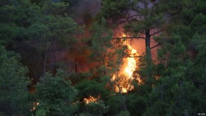Orman yangınları yerleşim yerlerini tehdit ediyor