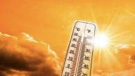 ABD’de aşırı sıcaklıklar tehlikeli boyutlara ulaştı