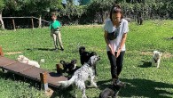 Yenilenen köpek parkı ile can dostların keyfi yerinde