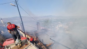 Aydın Büyükşehir Belediyesi İtfaiyesi’nden Bozdoğan’daki yangına müdahale