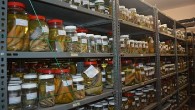 EÜ Su Ürünleri Fakültesi Bilimsel Materyal Koleksiyonu 4 binden fazla türü bünyesinde barındırıyor