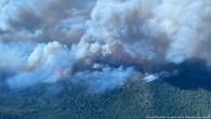 Kanada, İspanya ve Yunanistan’da orman yangınları