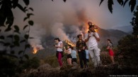 Tenerife, Yunanistan ve Kanada’da orman yangınları