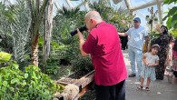 Konya Tropikal Kelebek Bahçesi yaz aylarının favori ziyaret mekanı oldu