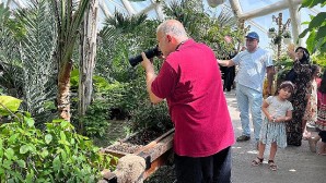 Konya Tropikal Kelebek Bahçesi yaz aylarının favori ziyaret mekanı oldu