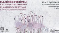 Türkiye’nin ilk Flamingo Festivali İzmir’de Gerçekleşiyor.