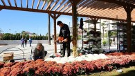 Karabağlar belediyesi 100 Yıl Uğur Mumcu Parkı kasımpatlarıyla renklendi