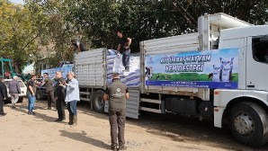 Aydın büyükşehir belediyesi’nden selden etkilenen üreticiye yem desteği