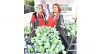 İzmir Büyükşehir’den 2023’te çiftçiye 1 milyon fide