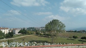 Kocaeli Büyükşehir, mezarlıkların bakımını unutmuyor