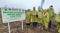 MetLife Türkiye çalışanları ikinci ormanları ile 24 bin 500 fidana hayat verdi