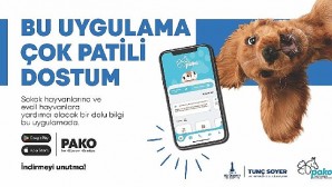 Büyükşehir’den can dostlar için “Pako” mobil uygulaması