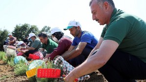 Büyükşehir’den tarıma 236 milyon 210 bin TL destek