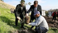 Karşıyaka’da ağaç varlığı hızla artmaya devam ediyor