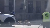 ABD’de polis, köpekleri tek tek vurarak saldırıya uğrayan adamı kurtardı. 